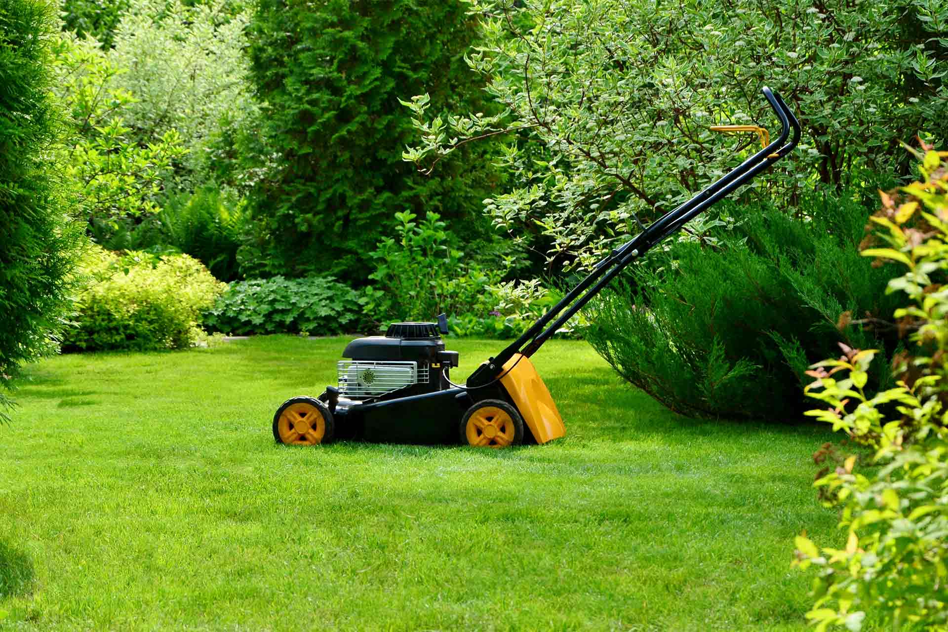 Professional garden maintenance services Dunstable